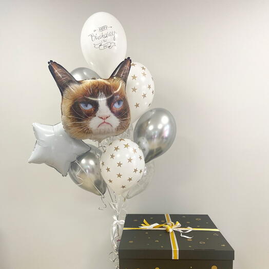 BalloonBox Хмурий кіт