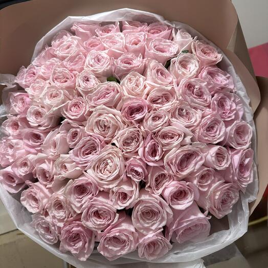 Ohara rose 75