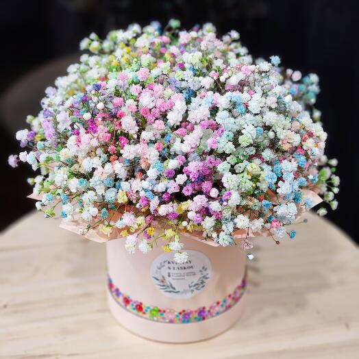 Cotton candy