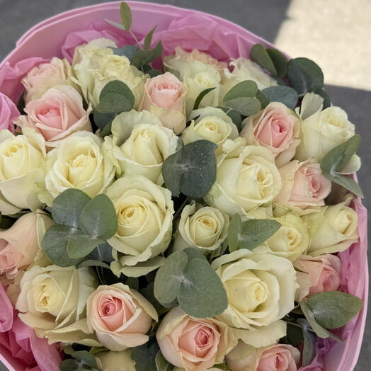 Baby Rose