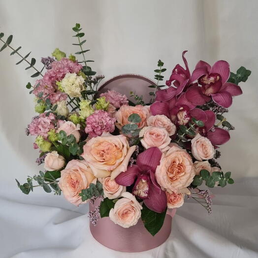 Blush Orchid Dream