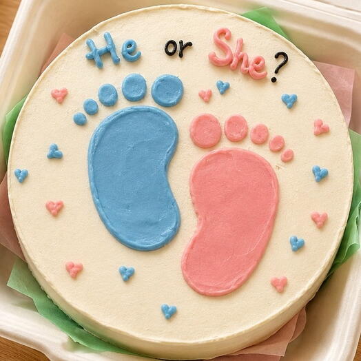 He or She Gender Reveal Bento Cake 200g