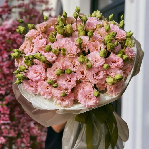 Eustoma rosa