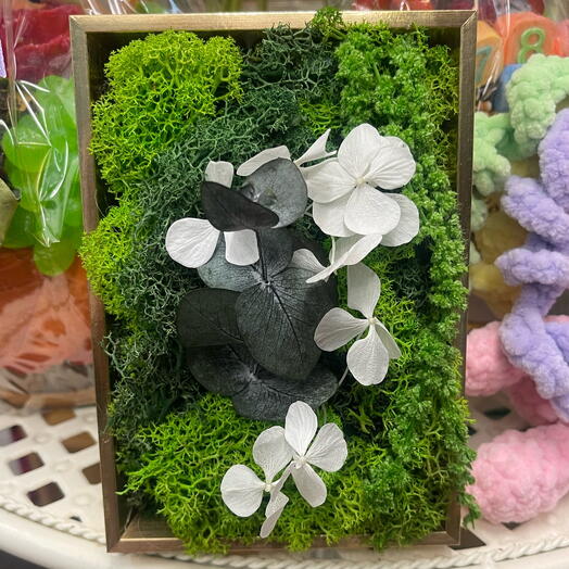 Stabilized moss painting