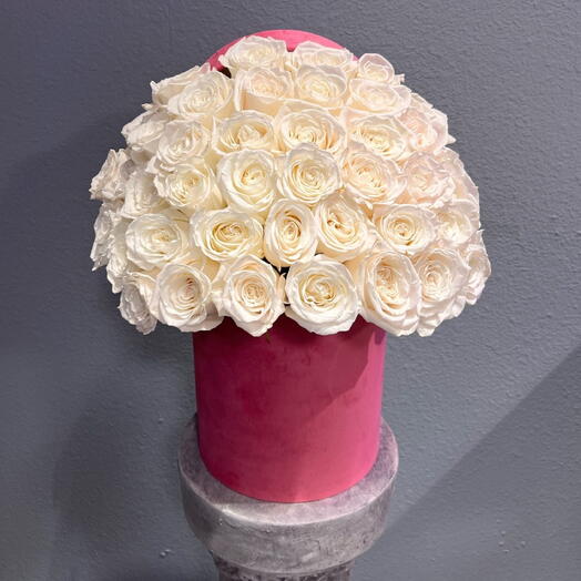 50 White Roses in a box