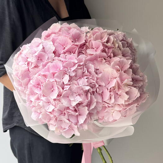 Pink hydrangea 5