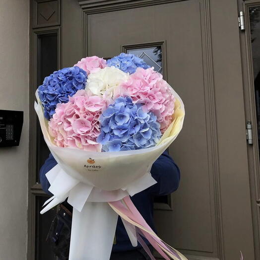 Mixed HYDRANGEAS