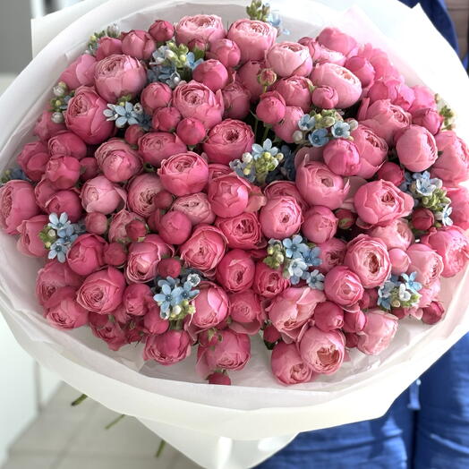 Rosa Wolke XXL