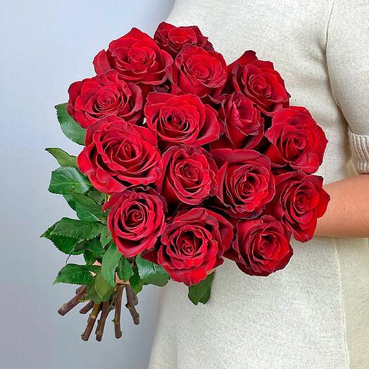 15 Ecuadorian roses