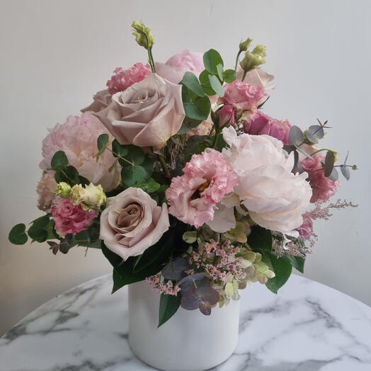 Soft Rose Muse
