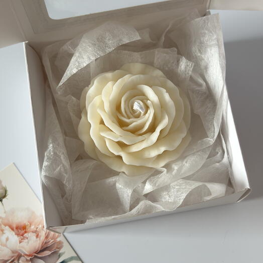 Soft Rose Candle
