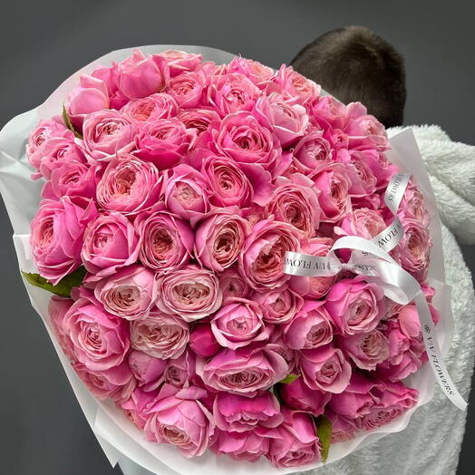Silvia pink L