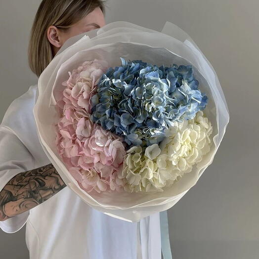 Bouquet of delicate hydrangeas