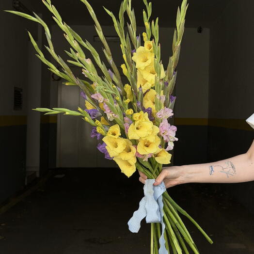 Gladiolus 17