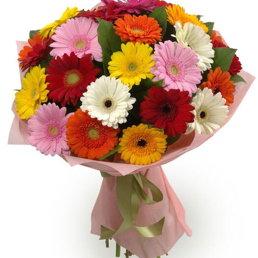 Gerbera (Mix)