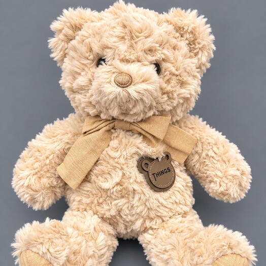 Teddy Bear Soft Toy "Things"