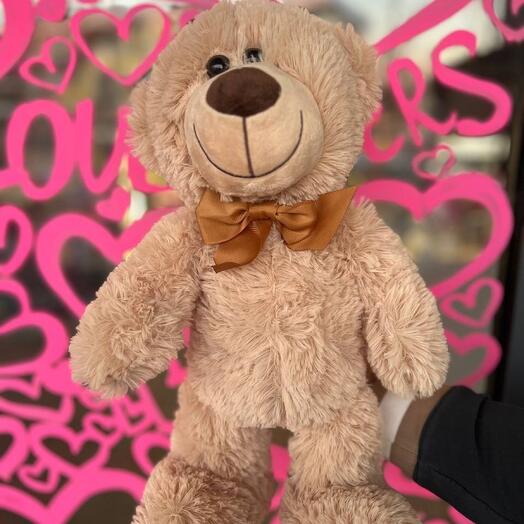 Mały Miś Teddy