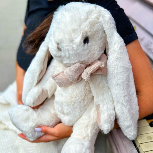 Bunny Boy