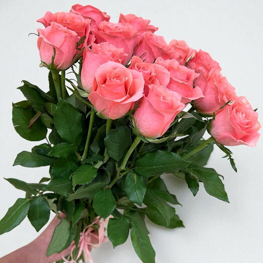 Roosikimp Ace pink