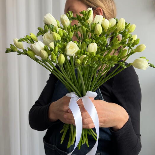 White Freesia