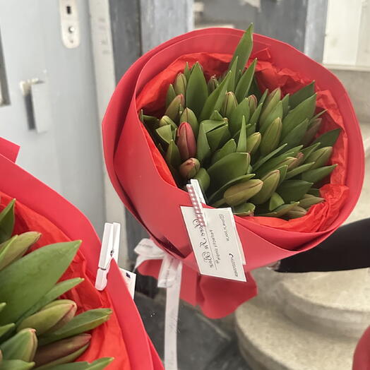 Tulips