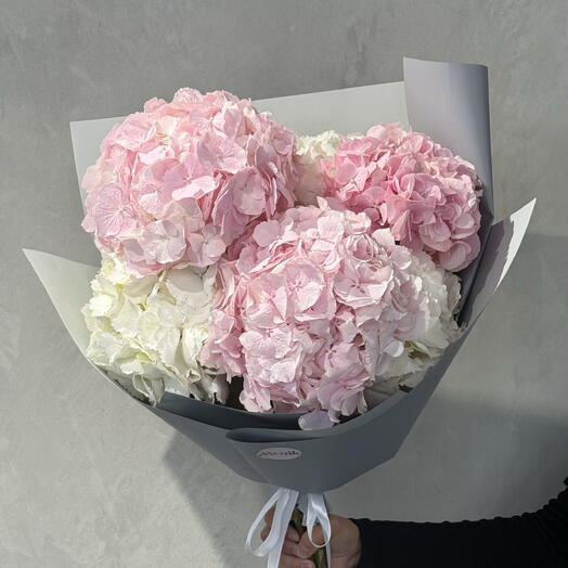 Hydrangea pink and white 7