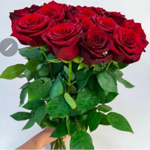 Bouquet  of 25 red roses ecuador
