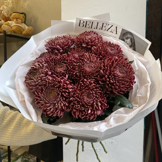 Chrysanthemum Bigudi 11