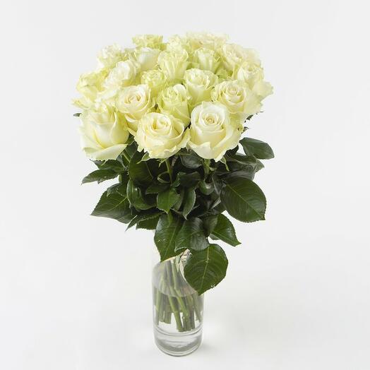 19 white roses