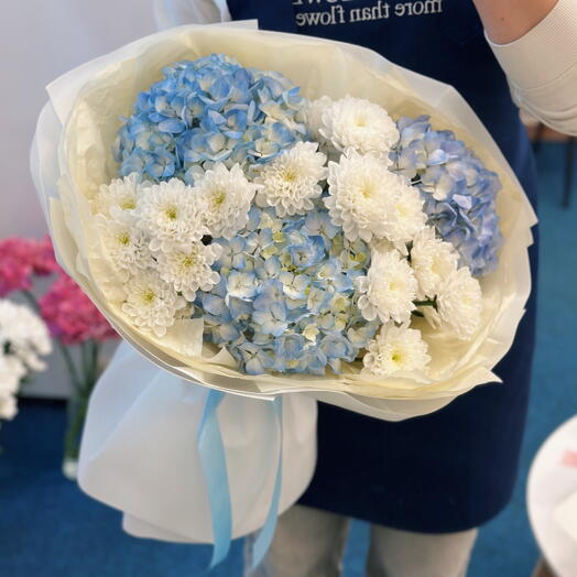 Blue Compliment