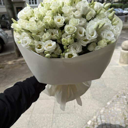 Eustoma weib