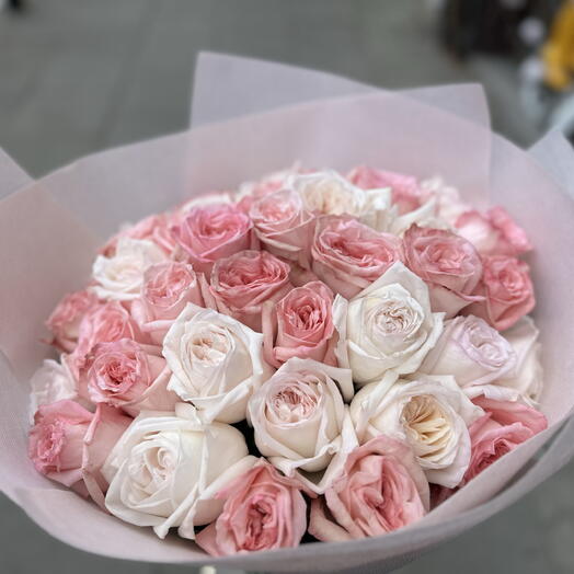 WEISS  ROSA O HARA LIEBE