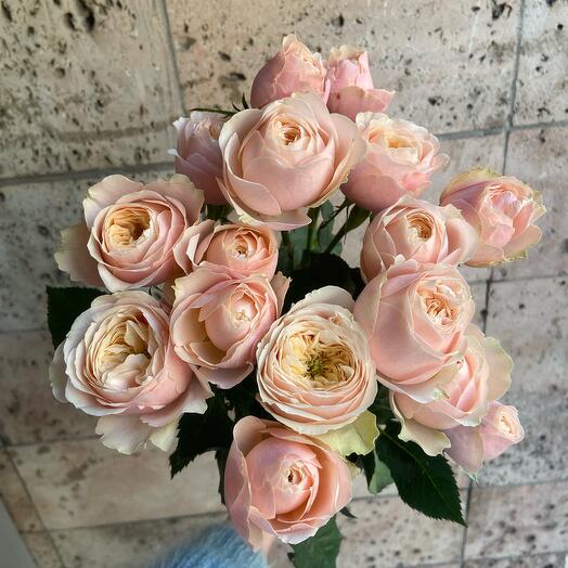 Peony Roses spray