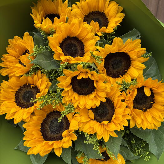 10 sunflowers