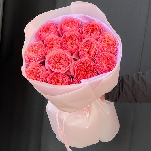Rosa Piones