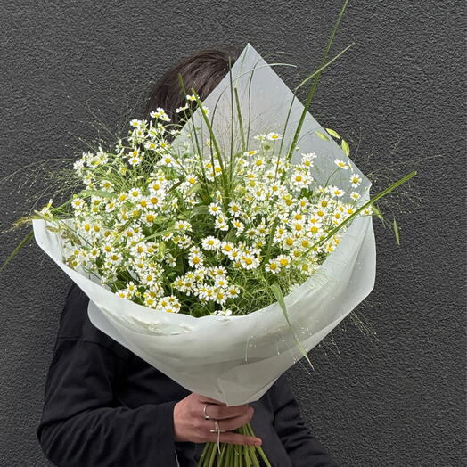 A field bouquet of chamomiles