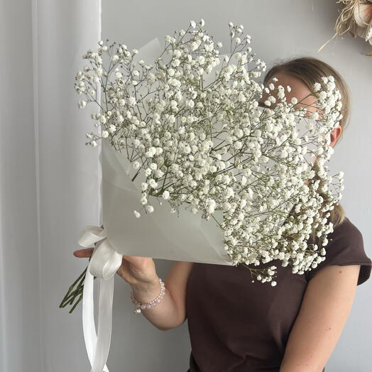 Ivory Dream