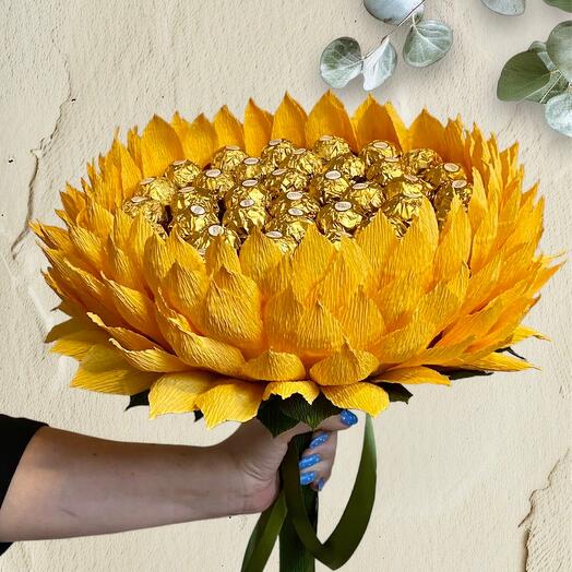 Sunflower L