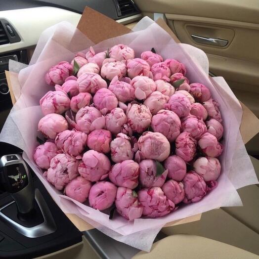 Peonies Sarabernard