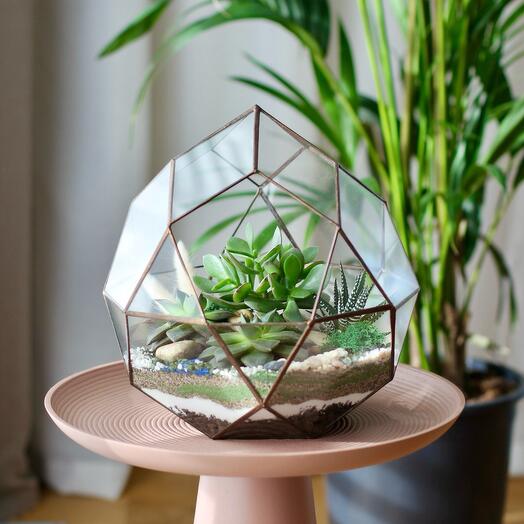 Florarium Cosmos