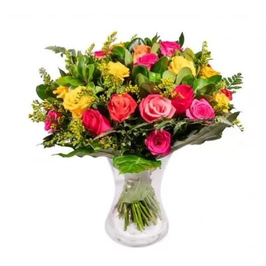 Rainbow of roses