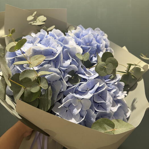Blue hortensia