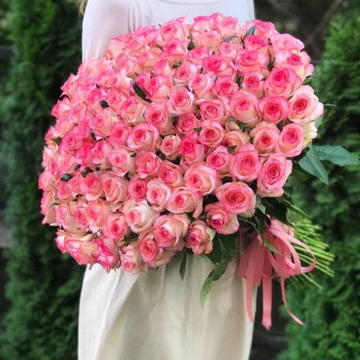101 pink roses