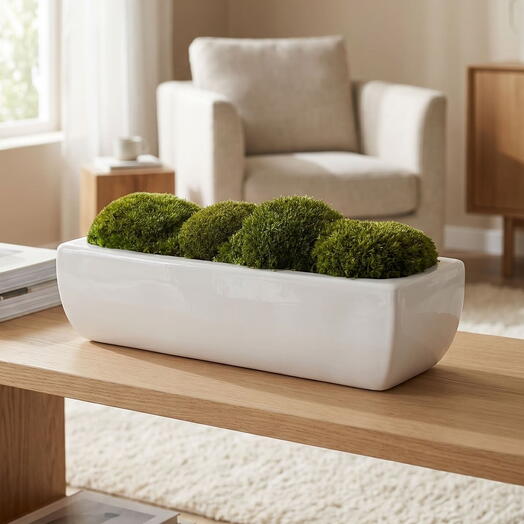 Modern Moss Cushion Arrangement