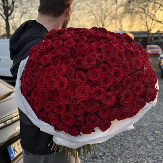 251 red roses
