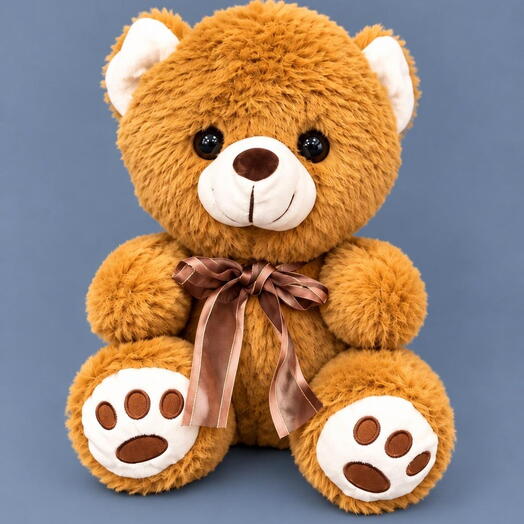 Teddy Bear Soft Toy 1