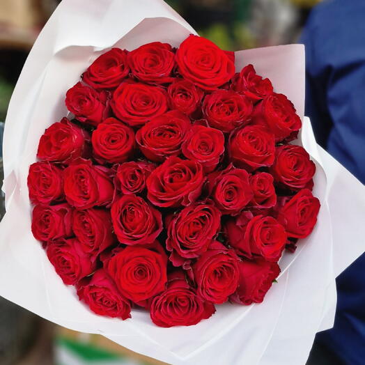 Red rose 19