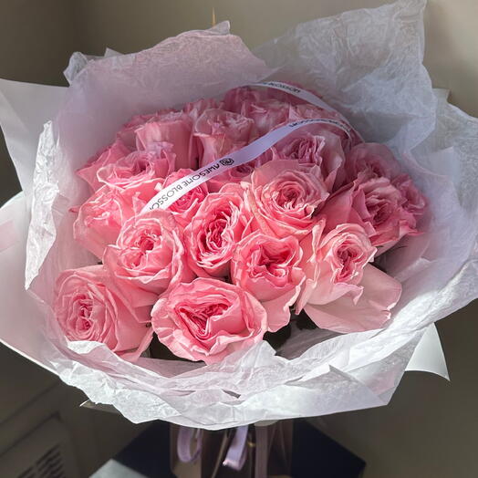 O Hara rose, 25