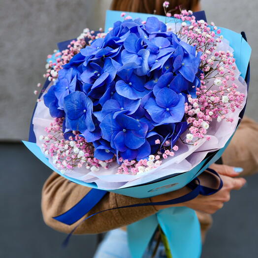 Blueberry Whisper 💙