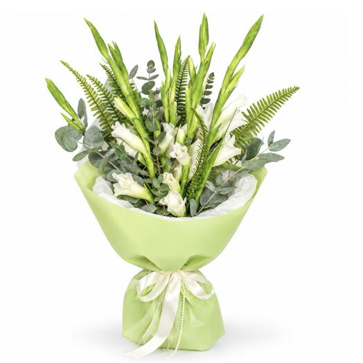 Gladiolus 9